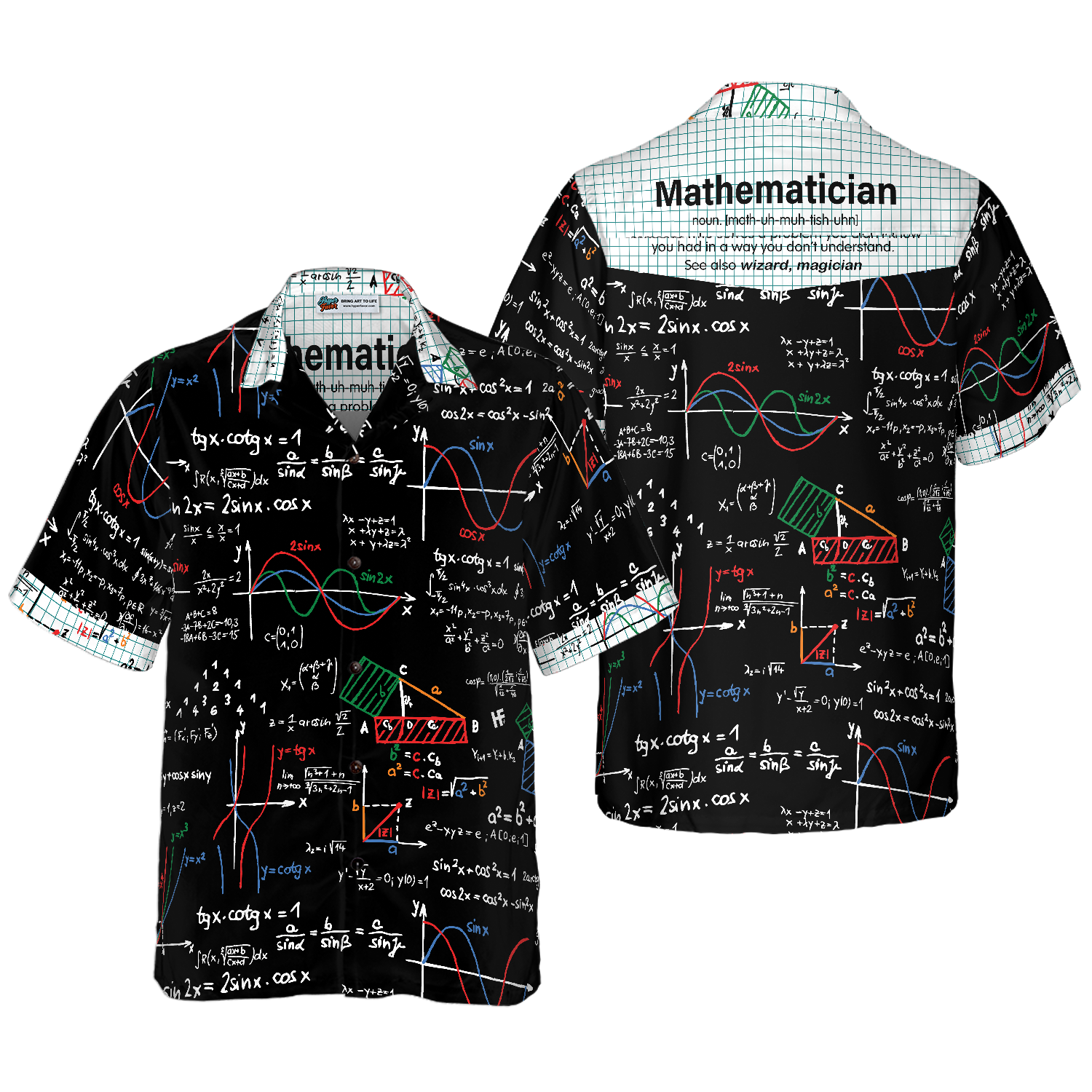 Mathematician Hawaiian Shirt 1.png