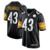 troy polamalu pittsburgh steelers nike retired player game jersey black 2917 ylkei.jpg