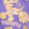 vince carter toronto raptors mitchell 26amp ness 199899 swingman sidewalk sketch jersey purple 9249 usqco.jpeg