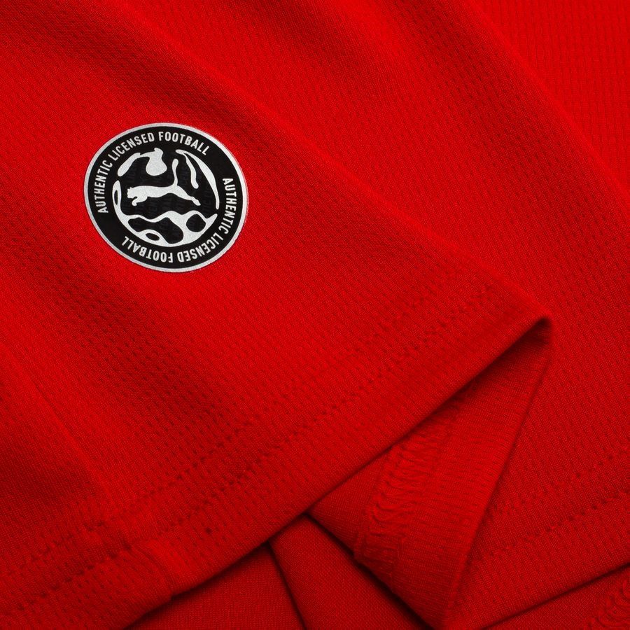 Austria World Cup 2026 Home Replica Jersey Adults - Image 9